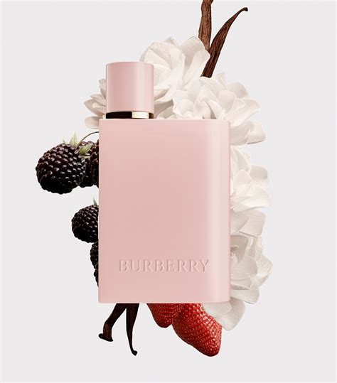 burberry her eau de parfum reviews|where to buy burberry her.